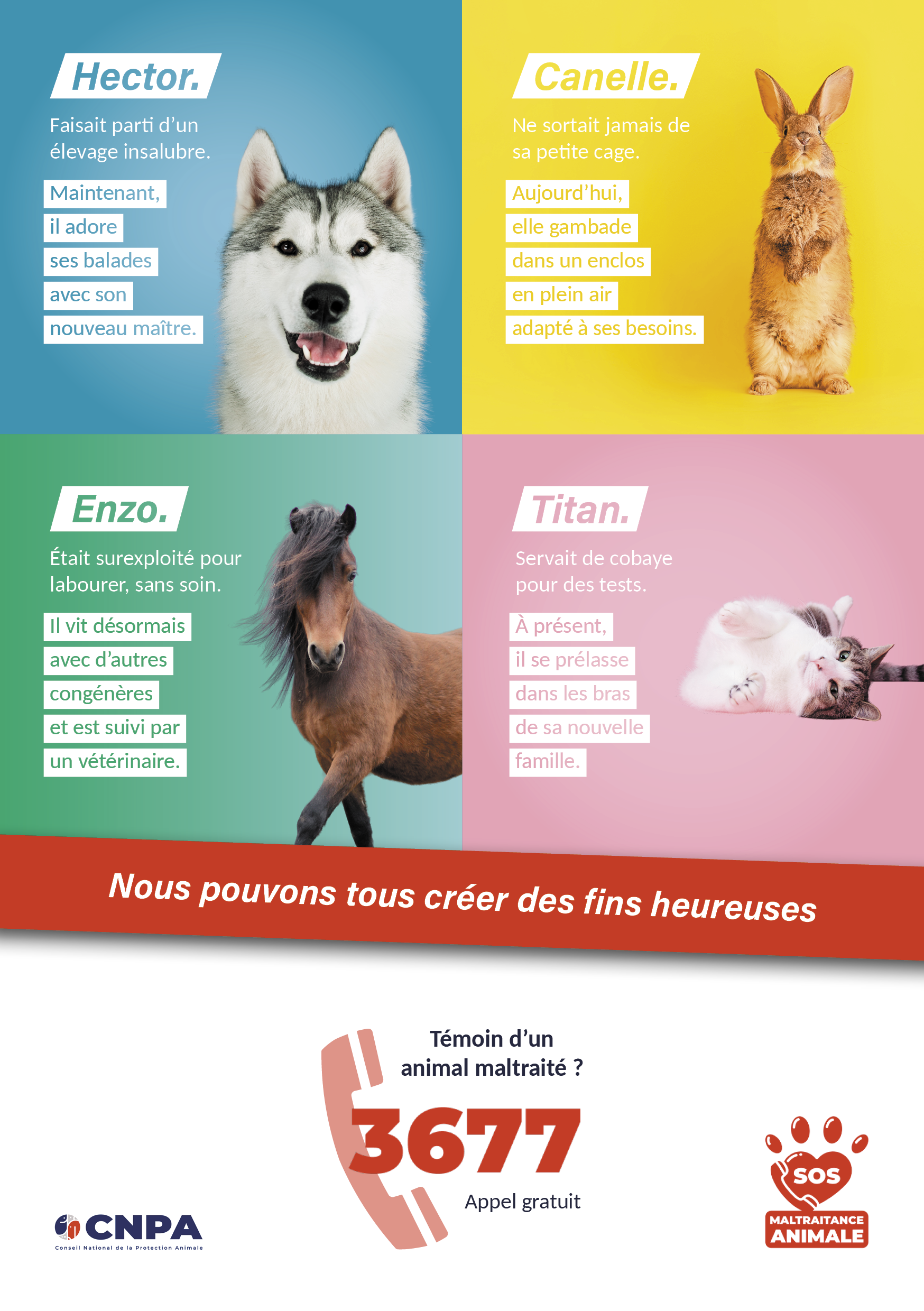 Création flyer - CNPA