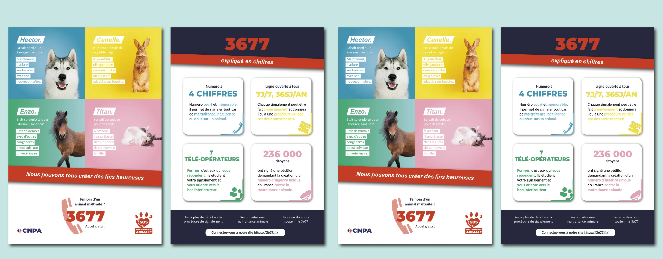 Création flyer - CNPA