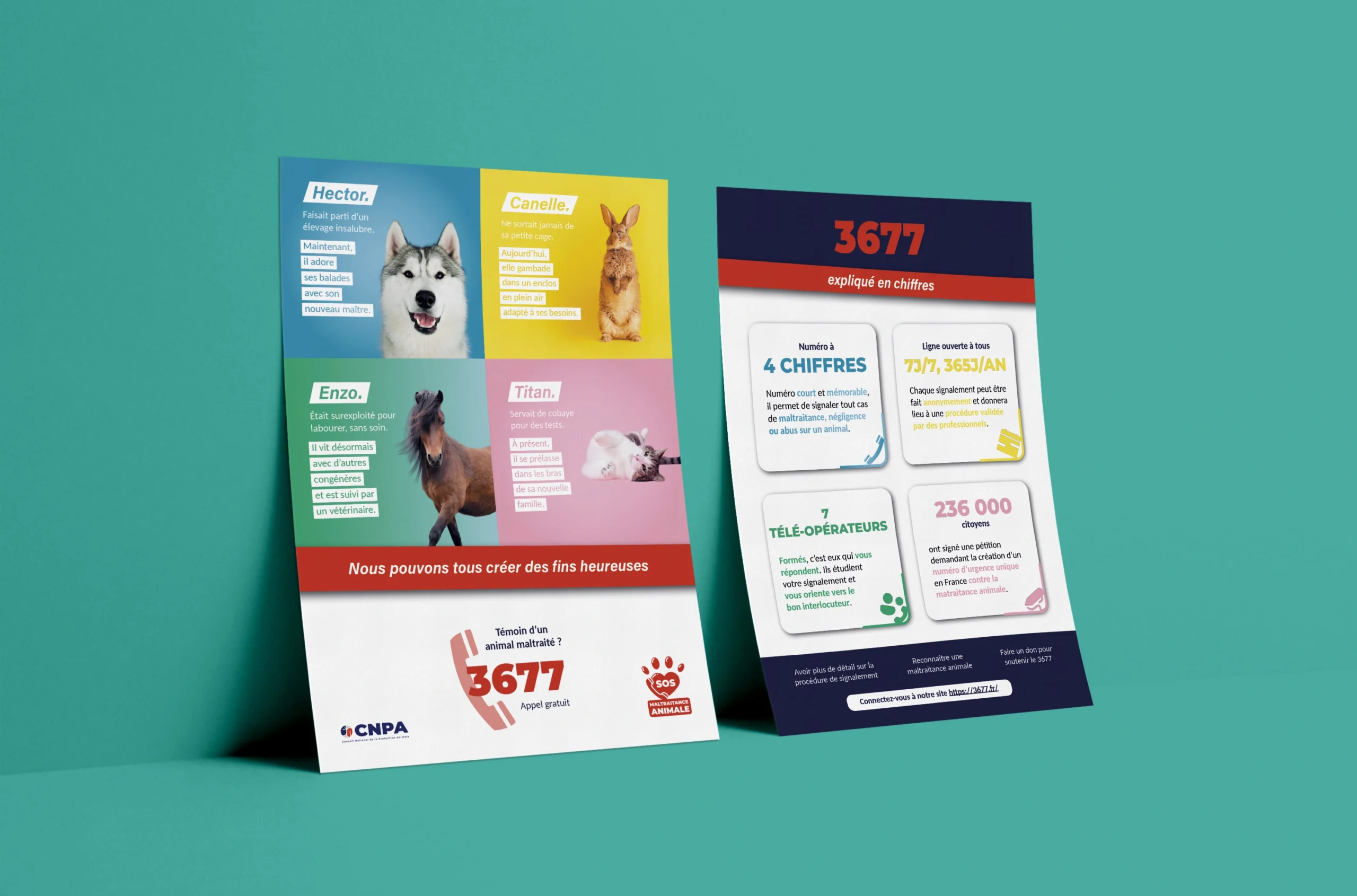 Création flyer - CNPA