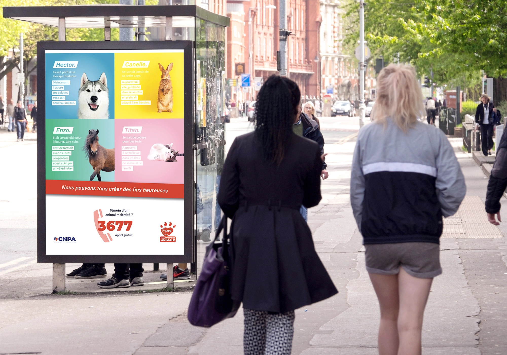 Création affiche - CNPA