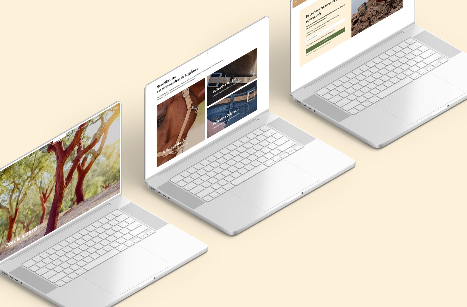 refonte site e-commerce - AngelAres