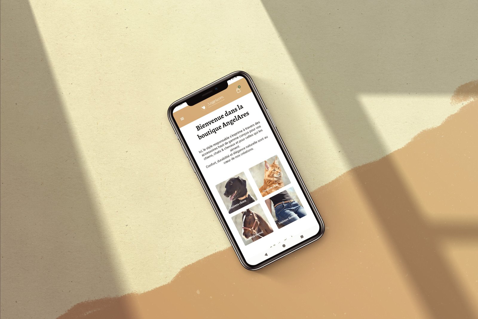 refonte site e-commerce - AngelAres