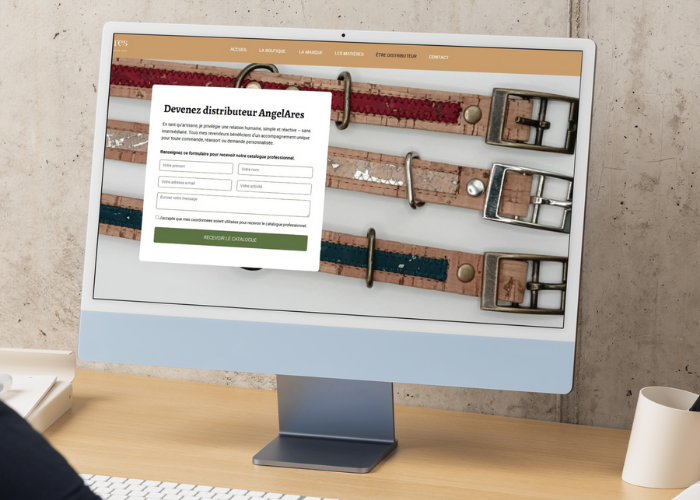 refonte site e-commerce - AngelAres